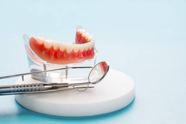 Best Traditional Braces  in Gibraltar, MI